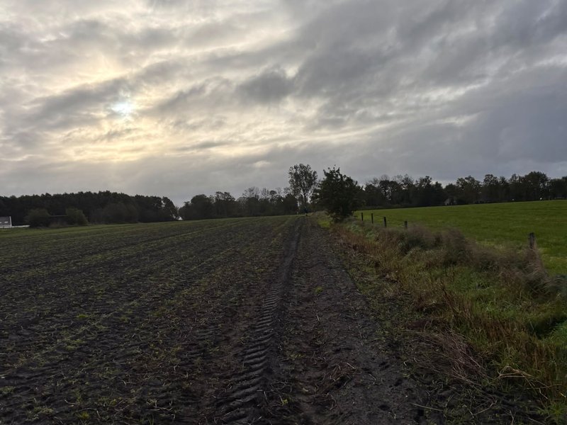 Arjen Gaasterlandtrail 2026 4