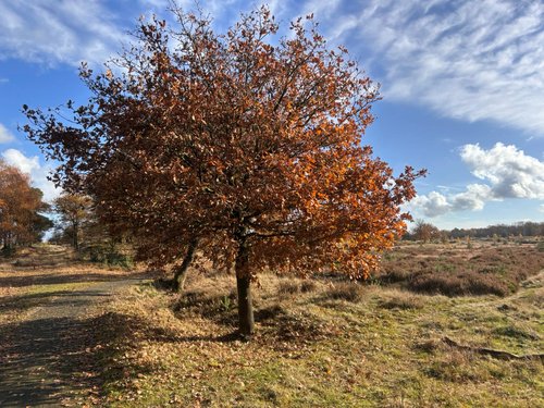 Arjen Kwint Aikingerzand marathon 2