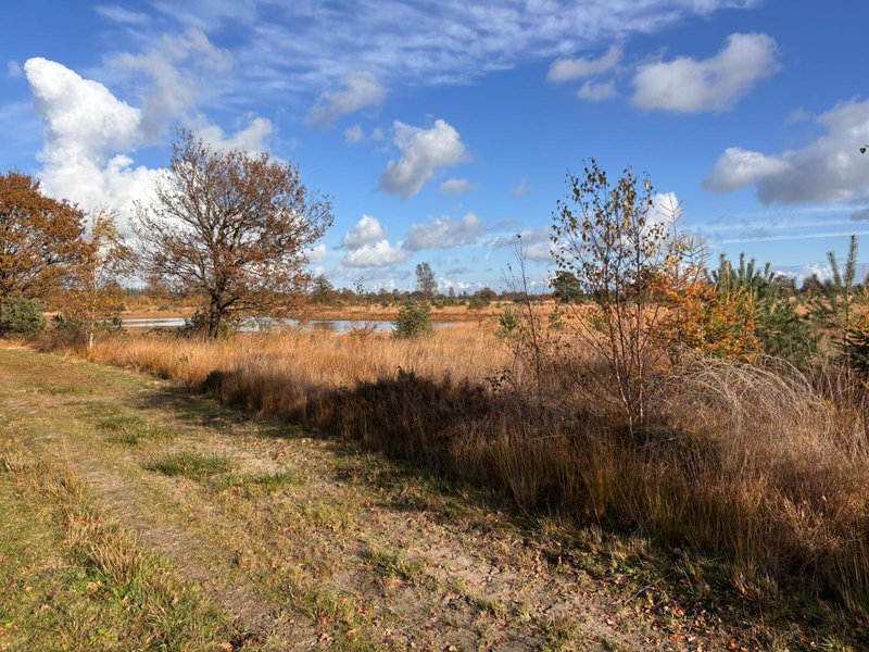 Arjen Kwint Aikingerzand marathon 5