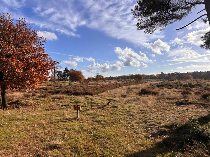 Arjen Kwint Aikingerzand marathon 3