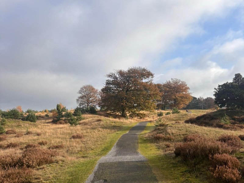 Arjen Kwint Aikingerzand marathon 8