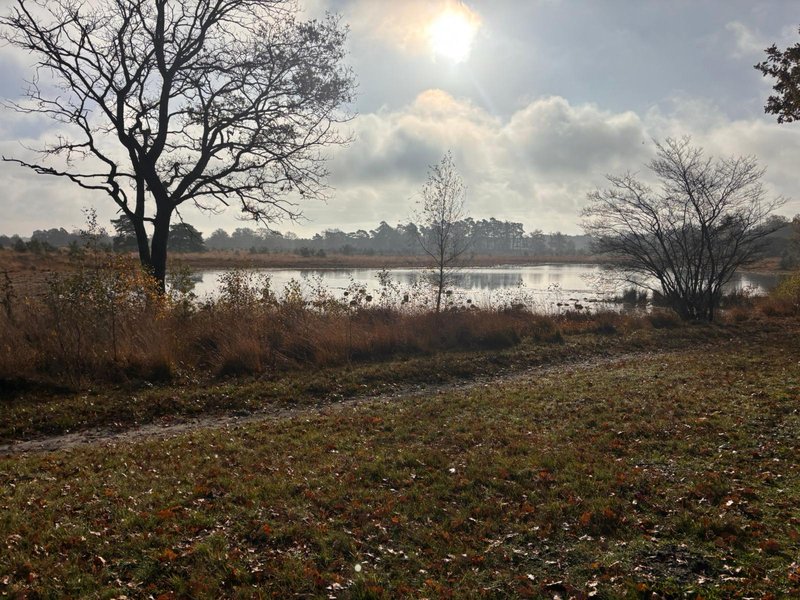 Arjen Kwint Aikingerzand marathon 9
