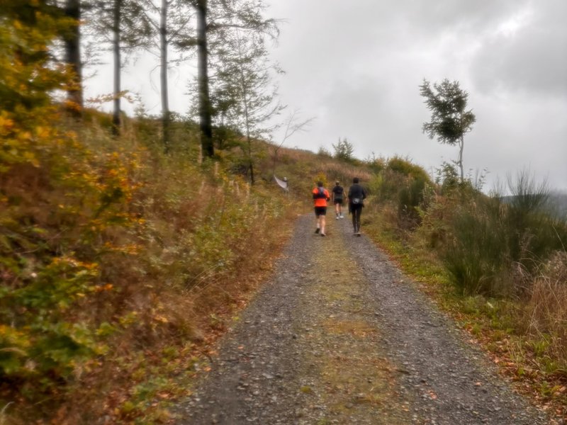 Arjen Rothaarsteigmarathon 3