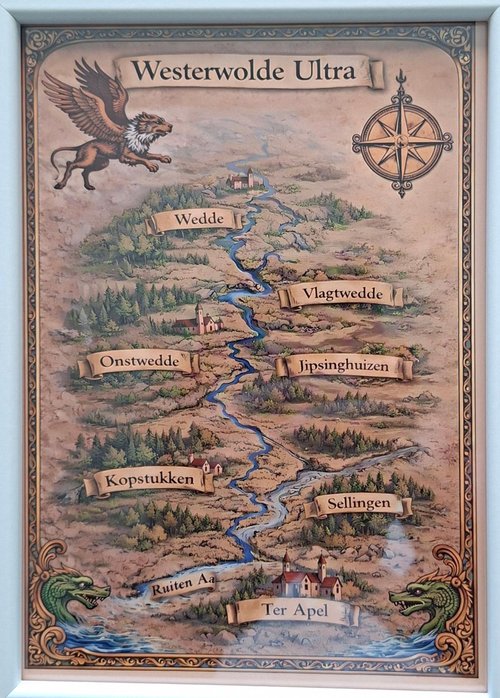 Kwint 6