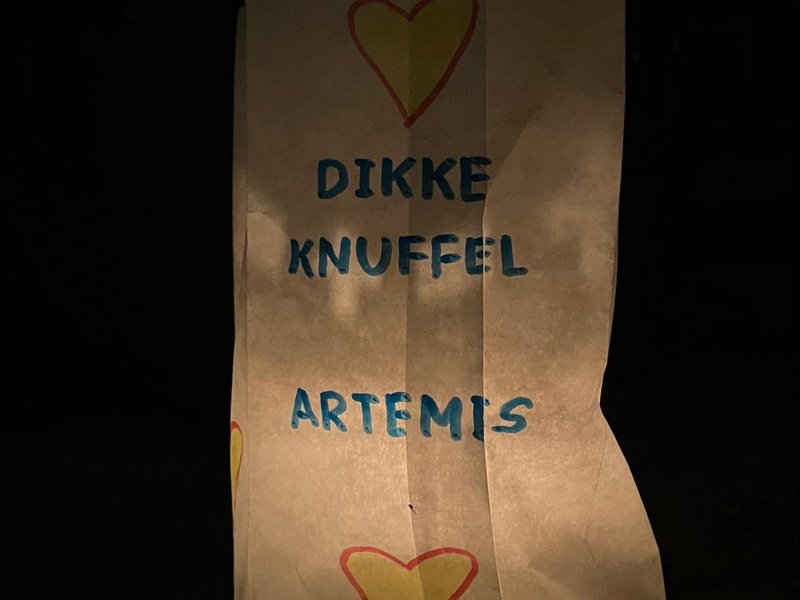 Samenloop voor Hoop Artemis 2026 6